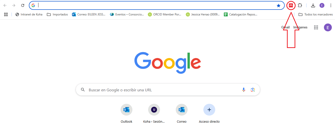 69 - Complemento web importer icono