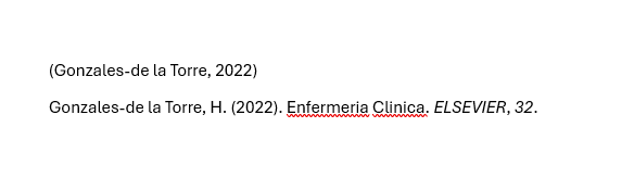 90 - Cita insertada en word